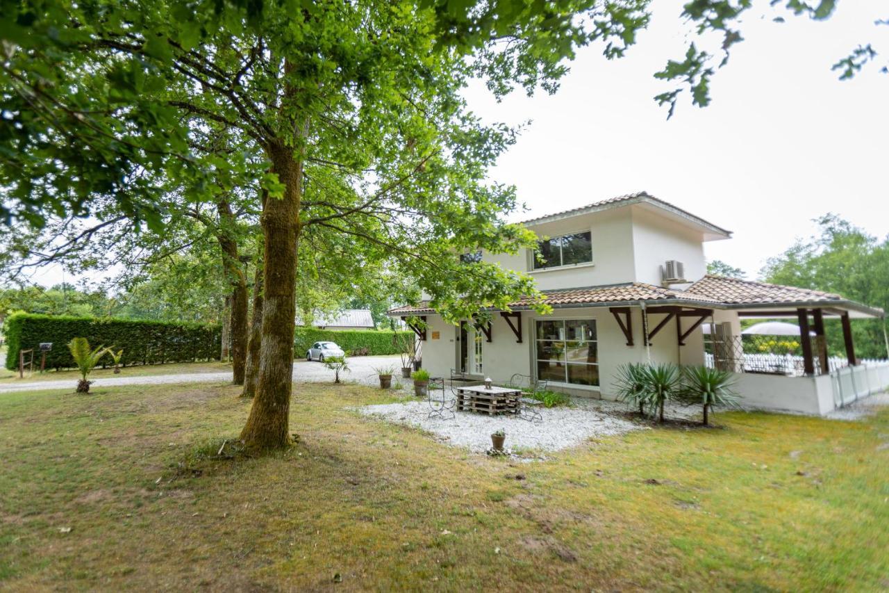 La Villa Minvia Les Landes Entre Mer Et Montagne Saint-Vincent-de-Paul  Exterior photo